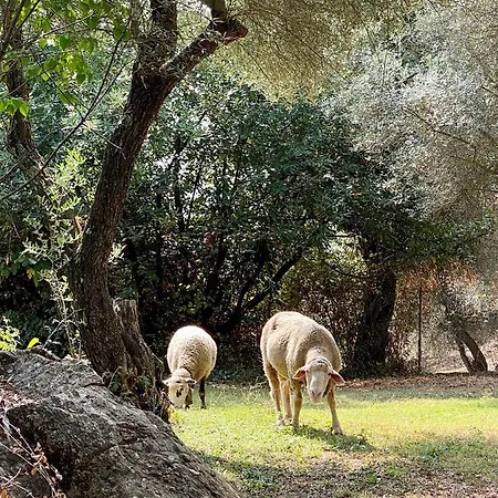 El Molino De La Quinta